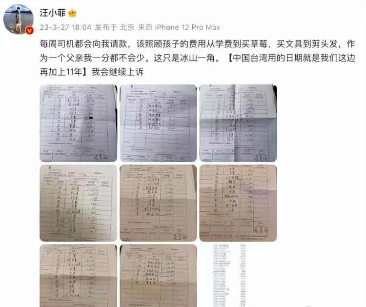 Uông Tiểu Phi tung hóa đơn chứng minh Từ Hy Viên không bỏ 1 đồng nuôi con-2