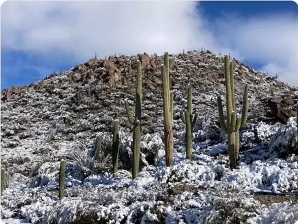 Sa mạc nóng nhất Bắc Mỹ có tuyết rơi dày tới 10 cm, điều gì xảy ra?-2