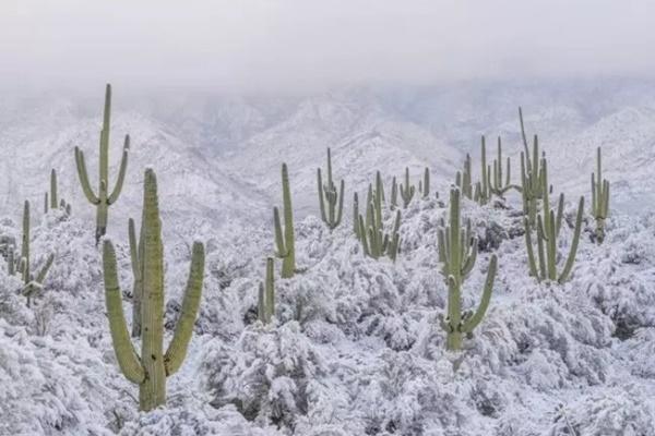 Những pháo đài cổ bí ẩn trong lòng sa mạc lớn nhất thế giới-4
