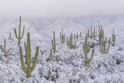 Sa mạc nóng nhất Bắc Mỹ có tuyết rơi dày tới 10 cm, điều gì xảy ra?