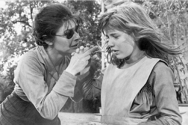 Bí ẩn cuốn sách bìa da người trong thư viện ĐH Harvard-3