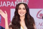 Hoa hậu Quốc tế 2019 xóa bỏ danh hiệu