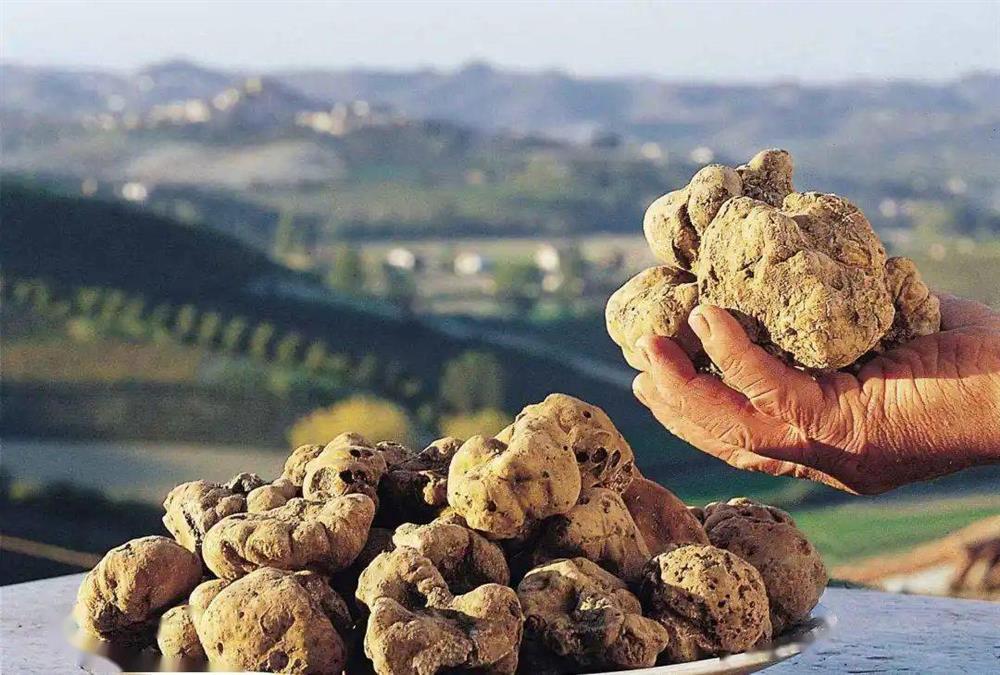 7 loại rau củ giá cực đắt, chỉ có nhà giàu mới vung tiền mua-1