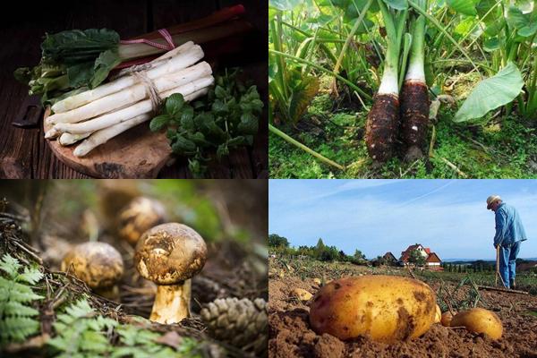 5 rau củ làm đẹp, chống lão hóa tốt nhất cho phụ nữ-5