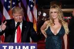 Tòa án yêu cầu nữ diễn viên phim người lớn trả hơn 120.000 USD cho ông Trump-2