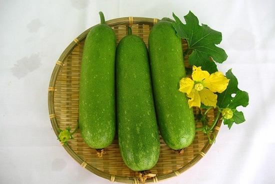 Sai lầm cần tránh khi giảm cân bằng bí đao kẻo ngộ độc, mất mạng