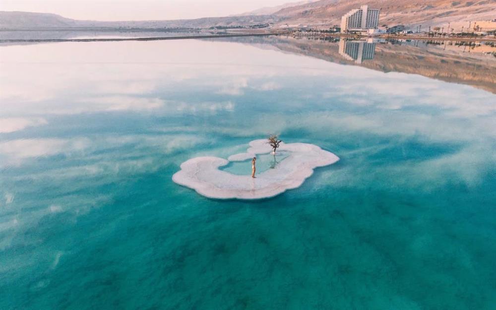 Cây sự sống duy nhất tồn tại trên đảo muối giữa Biển Chết-4