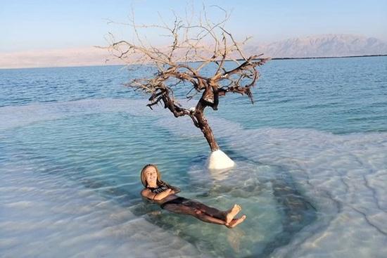 'Cây sự sống' duy nhất tồn tại trên đảo muối giữa Biển Chết