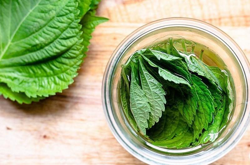 Loại rau thơm quen thuộc bán đầy chợ, ăn vào đẹp da, ngừa ung thư-1