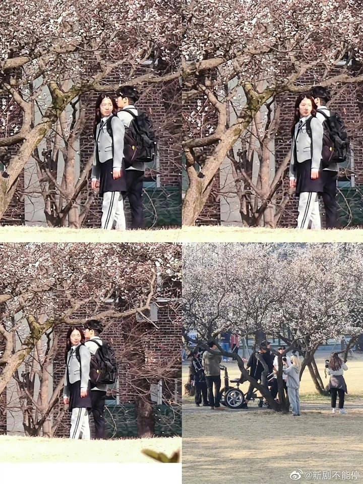 Park Shin Hye 33 tuổi vẫn được khen khi đóng vai học sinh-2