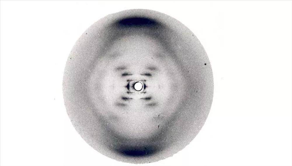 Người phụ nữ khám phá ra ADN và bi kịch bị lịch sử lãng quên-3