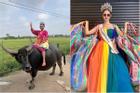Dàn thí sinh đi xe máy, cưỡi trâu dự thi Hoa hậu Hòa bình Thái Lan