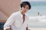 Won Bin bị netizen Hàn khuyên nên giải nghệ