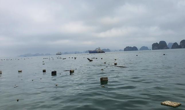 Phao xốp tràn lan trên vịnh Hạ Long: Cục Di sản văn hóa yêu cầu báo cáo-1