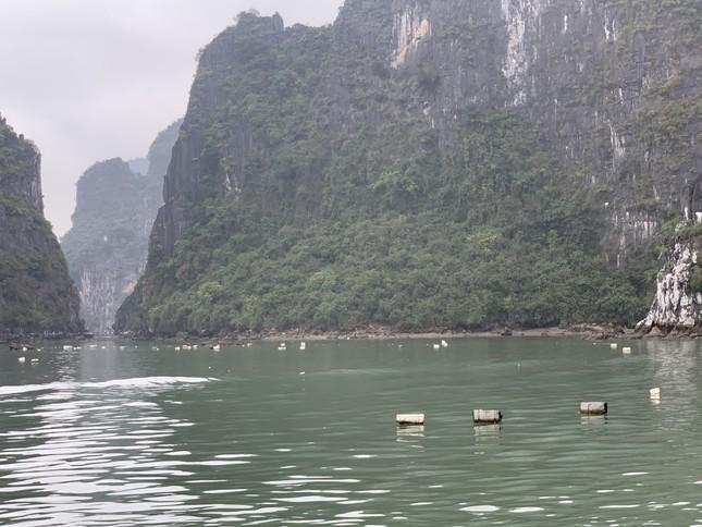 Phao xốp tràn lan trên vịnh Hạ Long: Cục Di sản văn hóa yêu cầu báo cáo-2