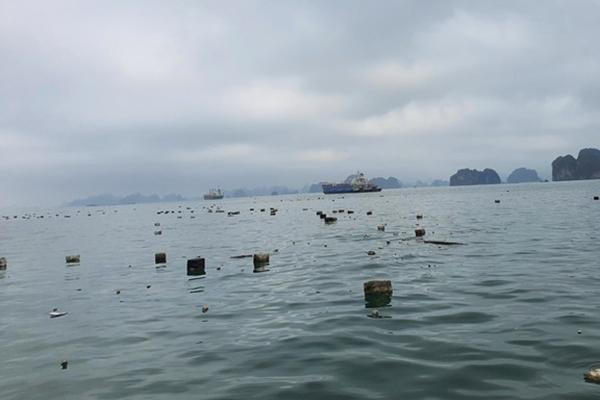 Xôn xao khách sạn lưng tựa núi bên trong vùng lõi vịnh Hạ Long-3