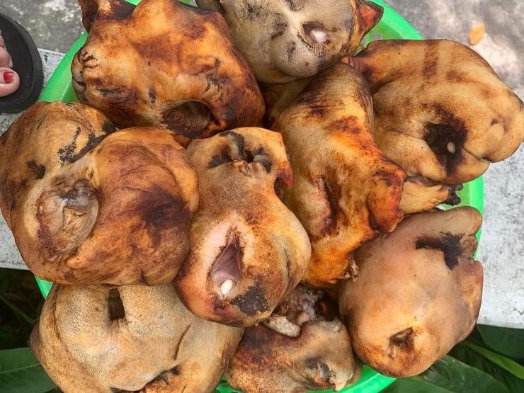 Kỳ lạ bộ phận nhạy cảm của trâu được bán gần 400.000 đồng/kg vẫn cháy hàng-1
