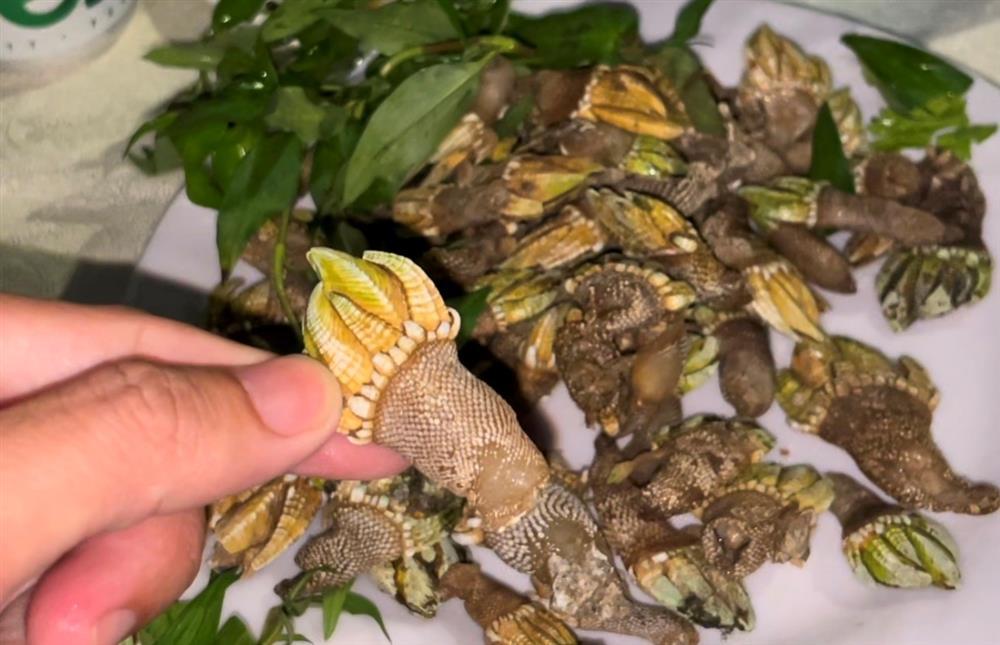 Độc đáo ốc móng rồng, nhiều người lùng ăn ở Khánh Hòa-2