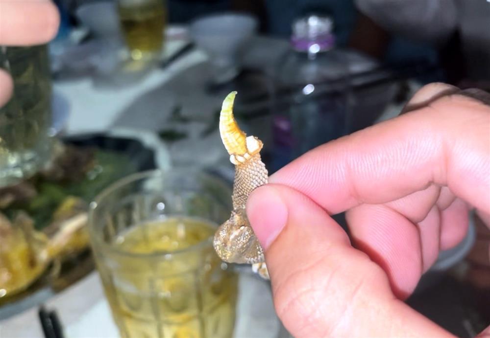 Độc đáo ốc móng rồng, nhiều người lùng ăn ở Khánh Hòa-3