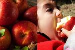 Đặt quả táo ở đầu giường trước khi ngủ để nhận về nhiều lợi ích cho sức khoẻ