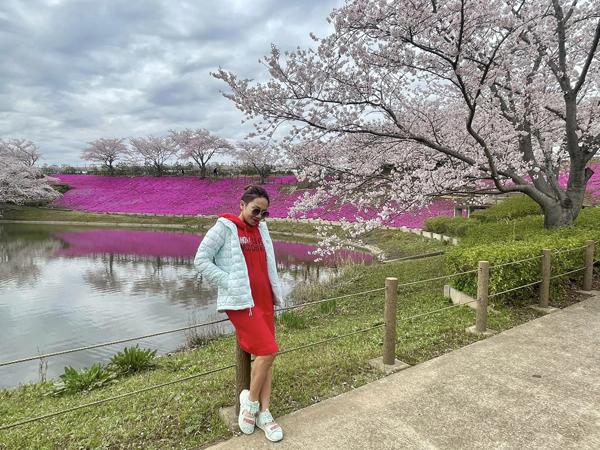 4 diva nhạc Việt tuổi U50 - 60: Nhan sắc mãi trẻ nhờ 1 thói quen-10