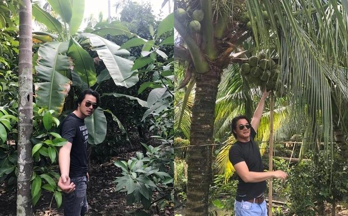 Quách Ngọc Ngoan trồng rau, nuôi cá ở biệt thự 5 tỷ đồng trước khi vỡ nợ-6