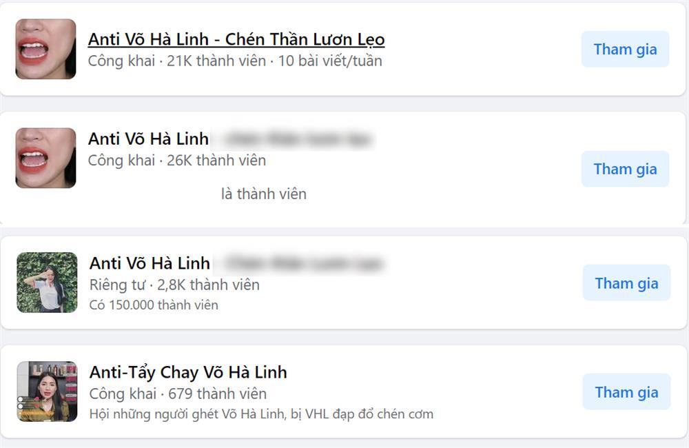 Bị lập nhiều nhóm anti, Võ Hà Linh chính thức nói lời xin lỗi?-2