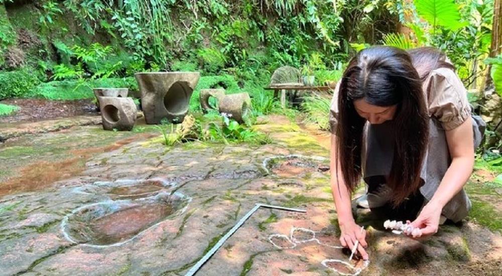 Đi ăn ở nhà hàng tình cờ phát hiện dấu vết quái thú 100 triệu tuổi-1