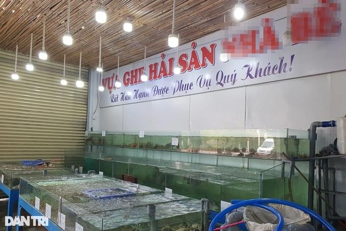 Vụ 3 khách Trung Quốc ăn 12kg hải sản: Không còn tang vật xử lý-3