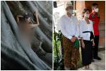 Chụp ảnh khỏa thân cạnh cây thiêng 700 tuổi, du khách bị trục xuất khỏi Bali