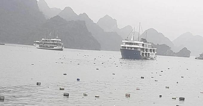 Khách nước ngoài đến Việt Nam không dám bơi vì rác... ngập biển-1