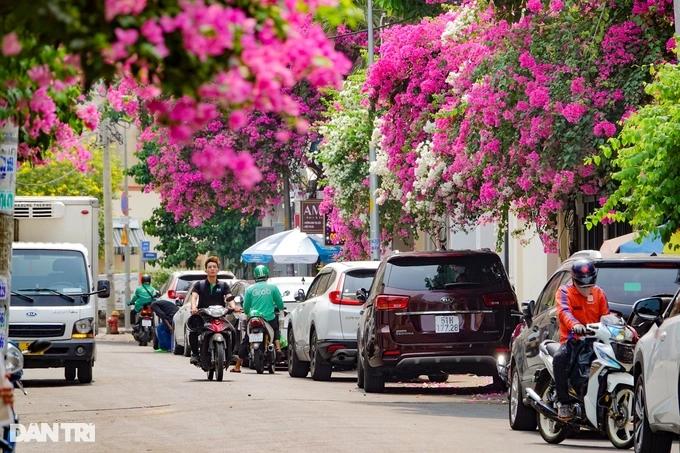 Giới trẻ đổ xô đến nhà hoa giấy gây sốt, chủ nhà ở TPHCM kêu cứu-3