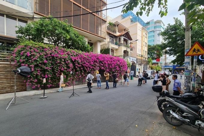 Giới trẻ đổ xô đến nhà hoa giấy gây sốt, chủ nhà ở TPHCM kêu cứu-4