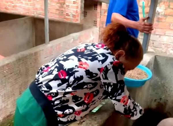 Siu Black nuôi heo và làm YouTube-3