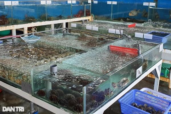 Vụ 3 người ăn hết 12kg hải sản: Các chủ nhà hàng ở Nha Trang nói gì?-2