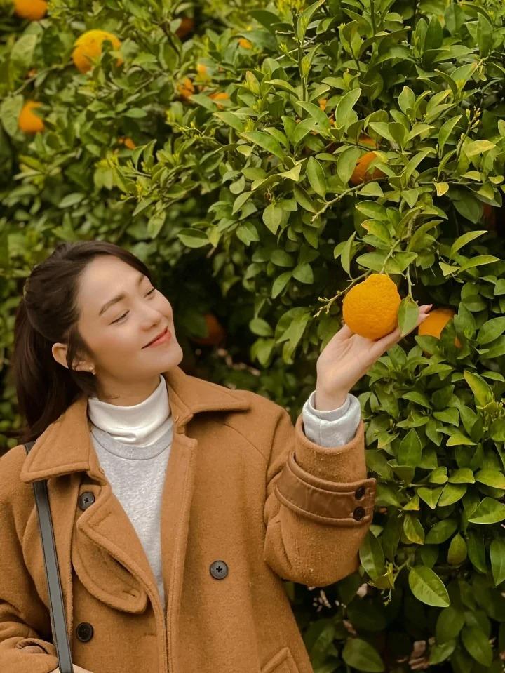 Mang bầu ở tháng thứ 4, nhan sắc của Minh Hằng thế nào?-10