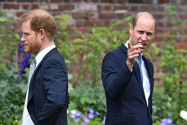 Độ nổi tiếng của Harry - Meghan tăng mạnh-2