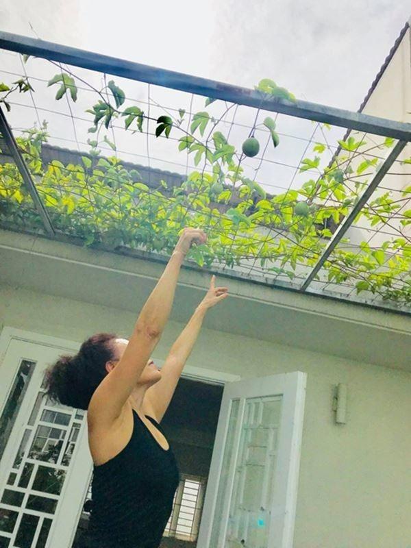 Biệt thự 20 tỷ của bố mẹ Hồ Ngọc Hà, nơi nuôi dưỡng cả Subeo, Lisa và Leon-11