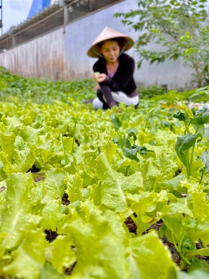 Biệt thự 20 tỷ của bố mẹ Hồ Ngọc Hà, nơi nuôi dưỡng cả Subeo, Lisa và Leon-15