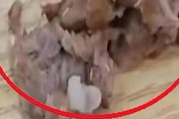 Hà Nội: Nhà hàng bị tố cho khách dùng nước lẩu thừa toàn thịt vụn-2