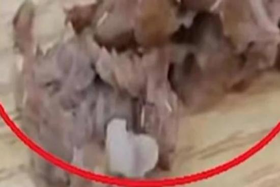 Đang ăn phát hiện đầy giòi trong sườn, cô gái kiện luôn nhà hàng