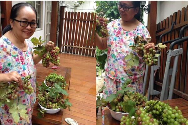 Thân thế mẹ ruột kín tiếng của Tăng Thanh Hà-5