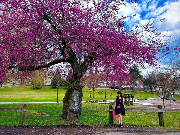 Rể Tây bá đạo, vừa gặp mẹ vợ đã chào em-10