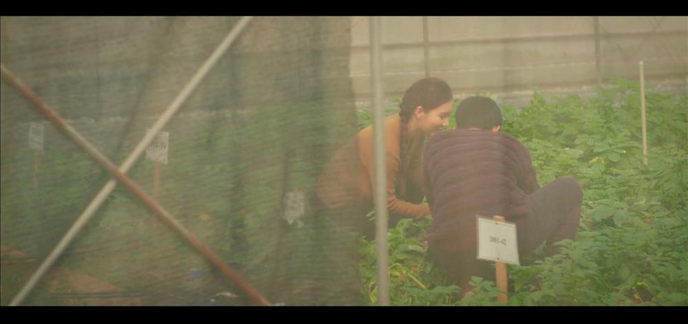 Gia đình mình vui bất thình lình: Gây cười nhiều quá-4