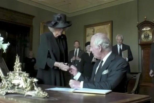 Tính xấu của Hoàng tử William-4