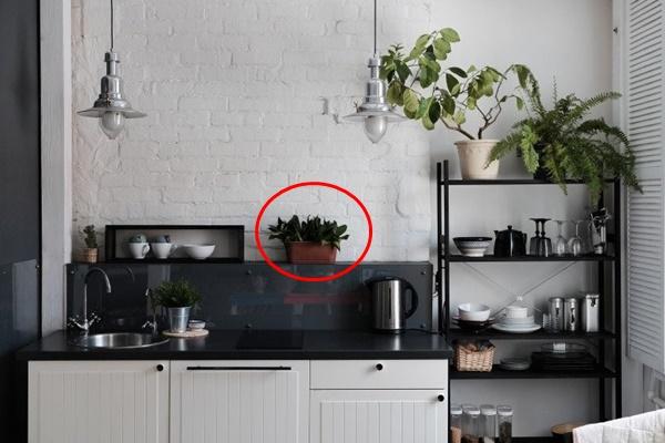 4 vị trí trong nhà khi để trống chẳng khác nào quét lộc ra sân-4