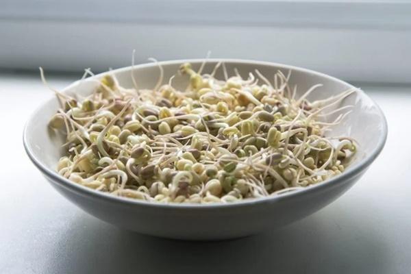 Cách làm giá đỗ siêu đơn giản, không cần tưới nước-4