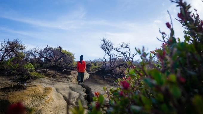 Khách Việt suýt chết khi leo núi ngắm ma trơi cổng địa ngục Indonesia-7