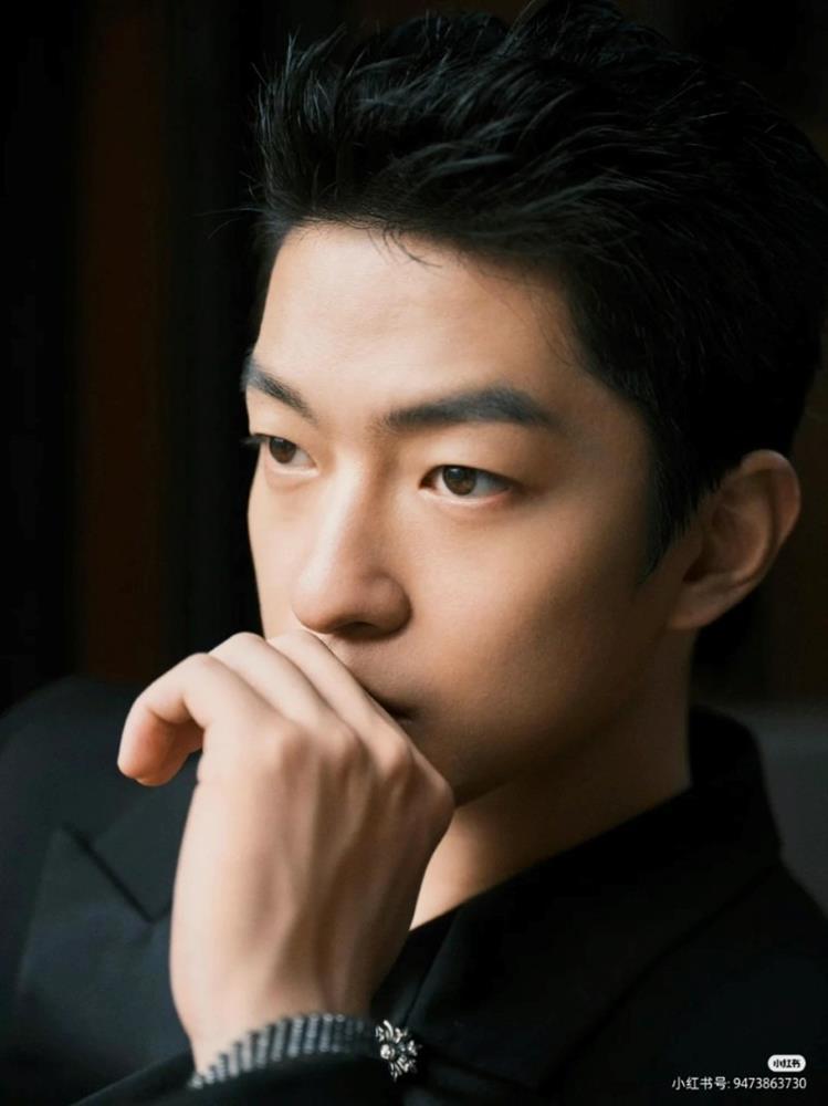 6 sao nam Hoa ngữ bị hủy hoại sự nghiệp vì bê bối tình dục-7