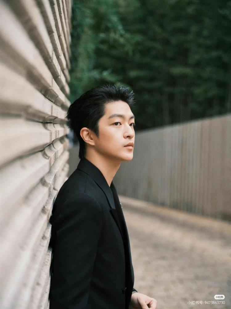 6 sao nam Hoa ngữ bị hủy hoại sự nghiệp vì bê bối tình dục-8